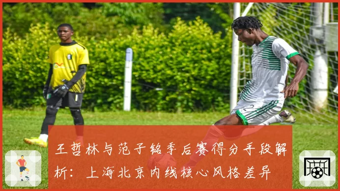 王哲林与范子铭季后赛得分手段解析:上海北京内线核心风格差异