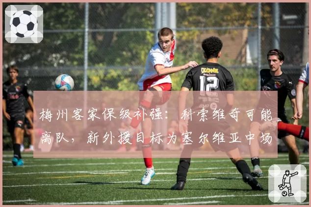 梅州客家保级补强：科索维奇可能离队，新外援目标为塞尔维亚中场