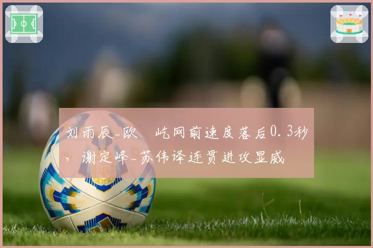 刘雨辰_欧烜屹网前速度落后0.3秒，谢定峰_苏伟译连贯进攻显威