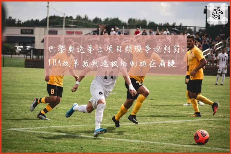 巴黎奥运拳击项目频现争议判罚,IBA改革裁判选拔机制迫在眉睫